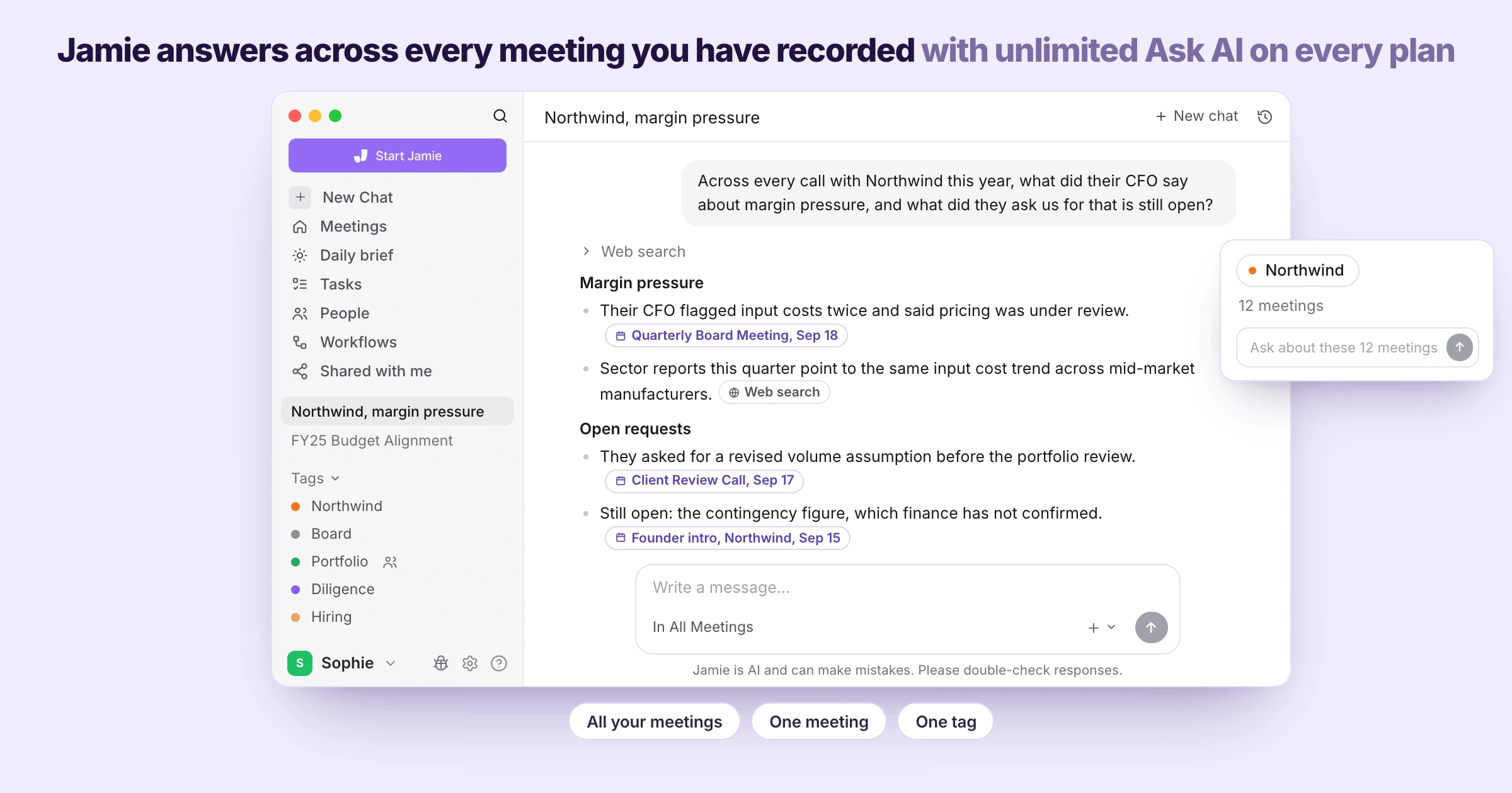 Jamie answers questions across every meeting you have recorded with Ask AI, unlimited on every plan including the free plan.